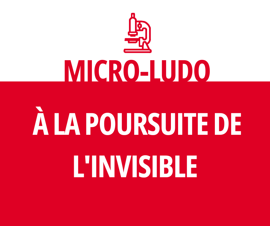 Micro-Ludo : À la poursuite de l'invisible