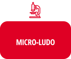 Micro-Ludo : À la poursuite de l'invisible