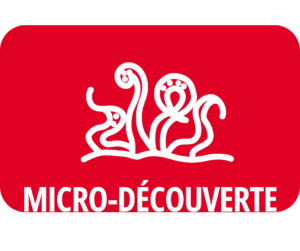 Micro-Découverte : Les créatures marines