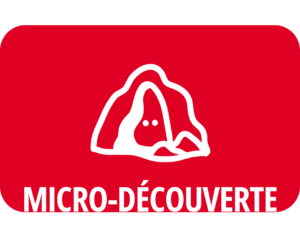 Micro-Découverte : Les créatures sous la terre