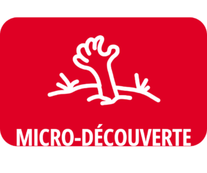 Micro-Découverte : Les monstres d’aujourd’hui