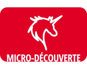 Micro-Découverte : Les animaux du Moyen-âge